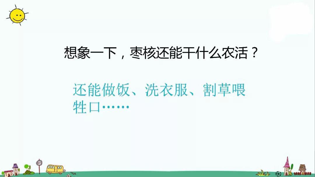 送!部编语文三年级下册课文八单元28课《枣核》图文解读 教学视频