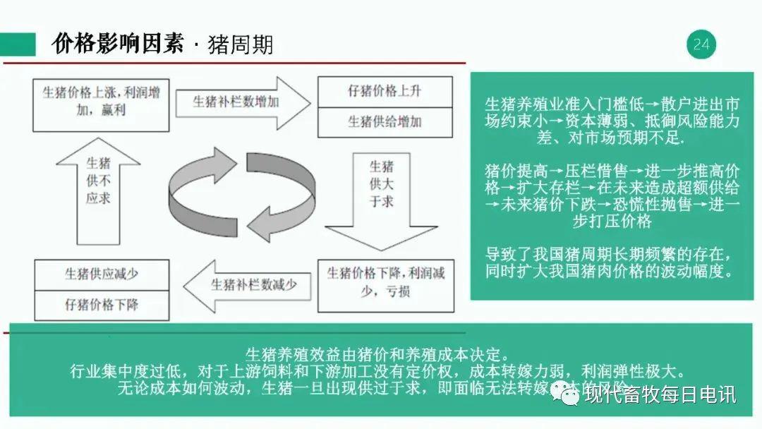 一文读懂两万亿产值的生猪产业链养殖供给期货合约和交割制度