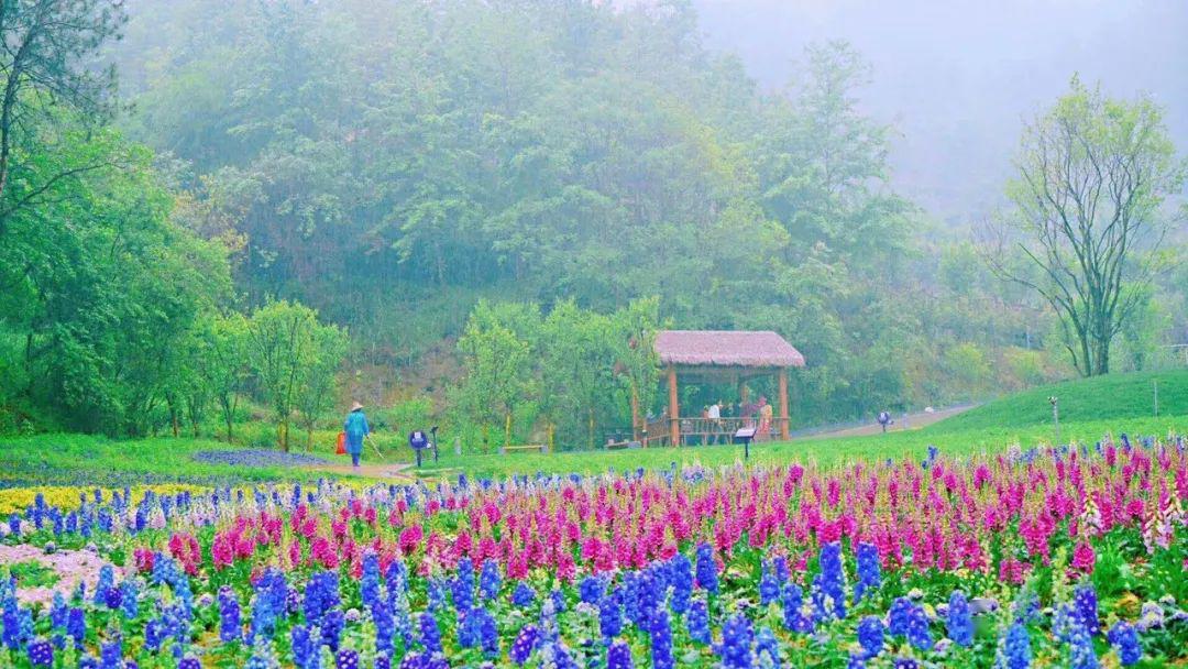 英山四季花海青春驿站仅需149188元享2票1房套餐将山水花泉完美融于