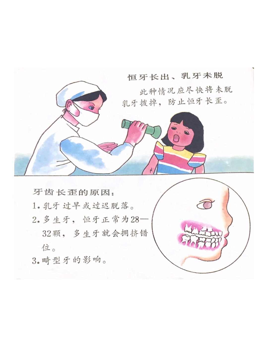 老书漫画口腔卫生与牙齿保护上