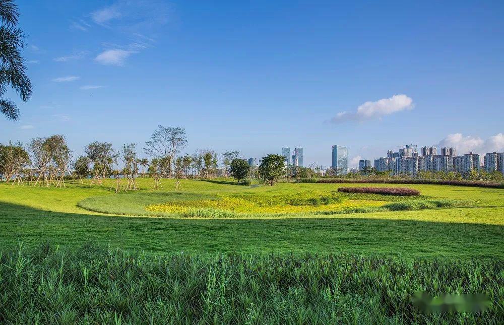 远近高低各不同植物空间营造让景观更多维