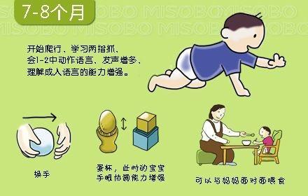 宝宝@父母、育儿嫂、月嫂一定要收藏0~36个月婴儿大动作发展时刻表