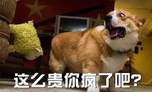 1b9d63516d464a27958d3a74c15522a6.JPG
