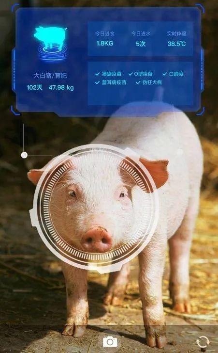 数字化养猪,机器人摘棉花,无人驾驶收割机