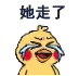 小黄鸡哭唧唧表情包合集|没钱了,完蛋了
