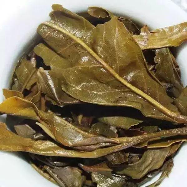 教你鉴别普洱茶看懂30种普洱茶叶底