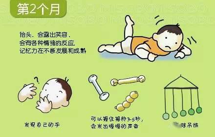 宝宝@父母、育儿嫂、月嫂一定要收藏0~36个月婴儿大动作发展时刻表