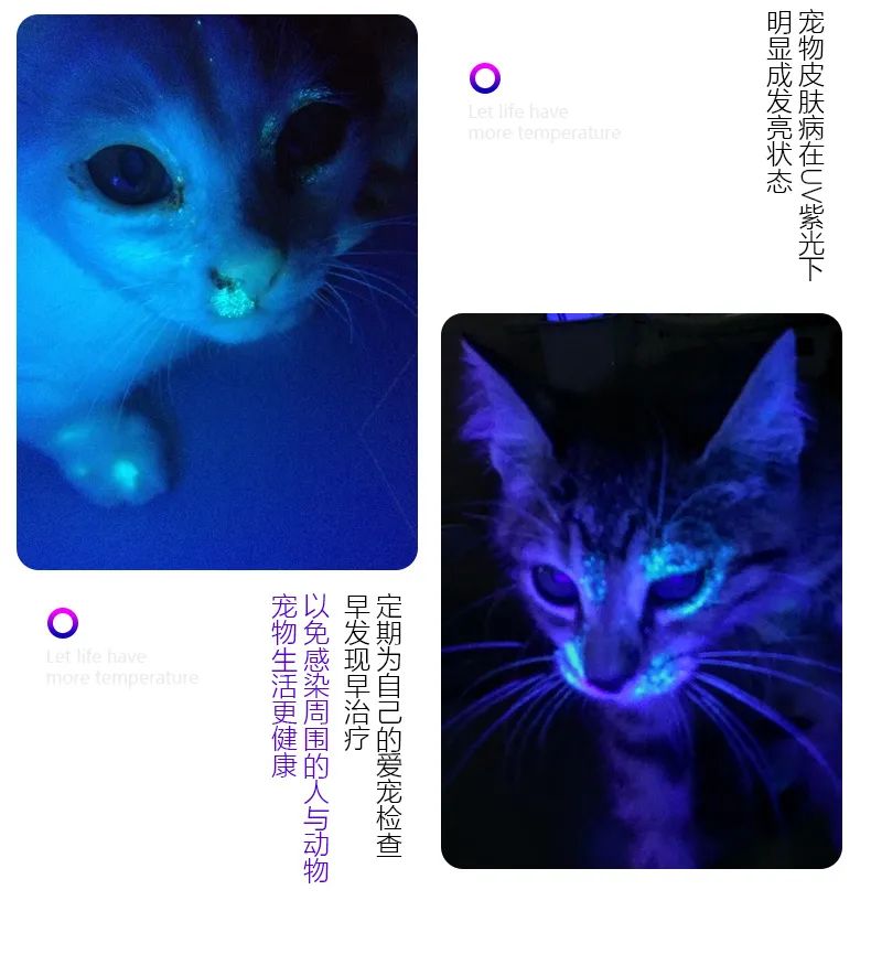 伍德氏灯与紫外线杀菌灯是否都可以用来照射猫藓