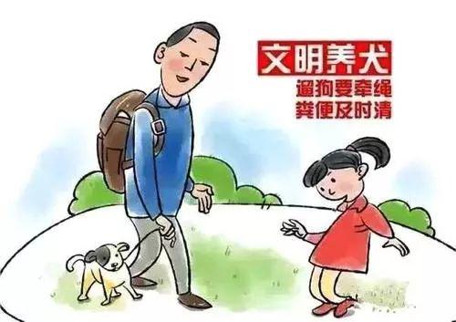 【文明宣传】文明养犬,从我做起