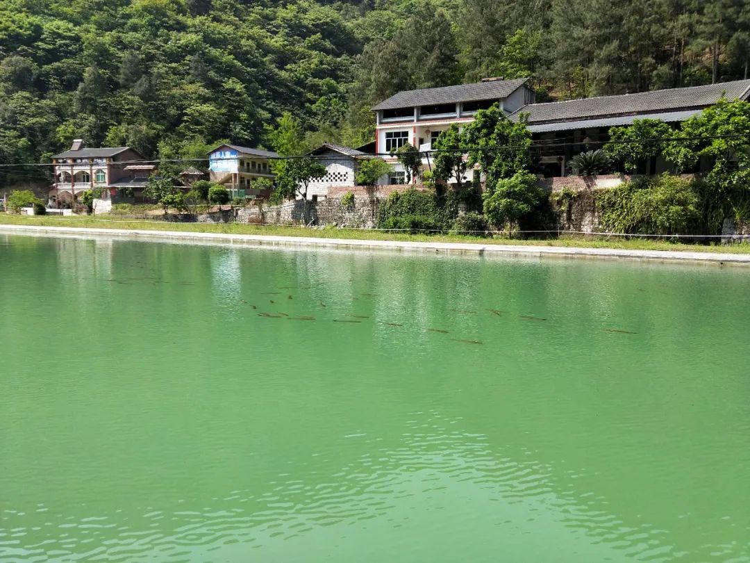 抢鲜休闲健身又添新去处万盛凉风村标准竞钓池建成投用