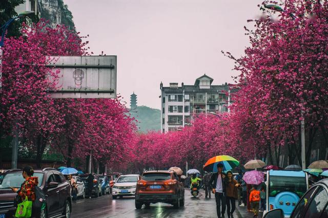 广西人个个都是人才，说话又好听，真的！