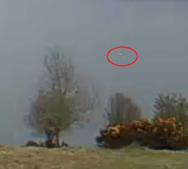 發燒友聲稱拍到有史以來最大「尼斯湖水怪」影像，長約30英尺 國際 第2張