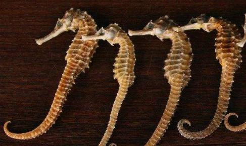 「孩子」还有异味！母亲怀疑性早熟，原因竟是…两岁女童下体间断性出血