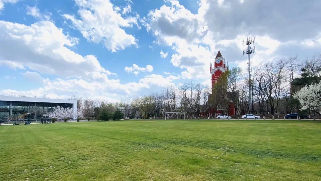 原创 欢迎报考→ 沈阳城市学院  你们寄来的"明信片",绿岛都收到啦!