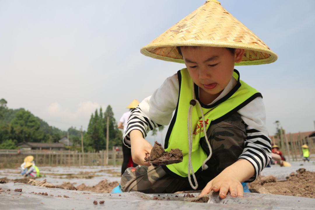 农耕研学丨都市小农夫垦地播种精心灌溉采摘