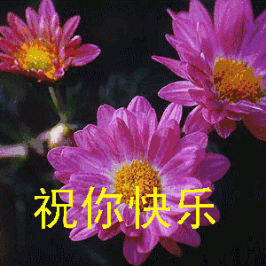 祝你清晨多愉快幸福无尽头周二愉快早上好