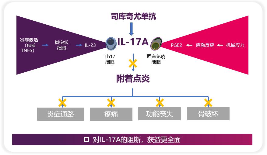 挺进新时代骨起新希望司库奇尤单抗as适应症获批中国as治疗进入白介