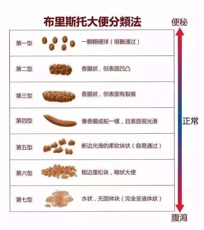 健康便便,一看形态