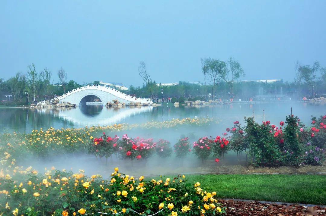 4月30日,光影中国网"月季花开 大美南阳"全国摄影大赛