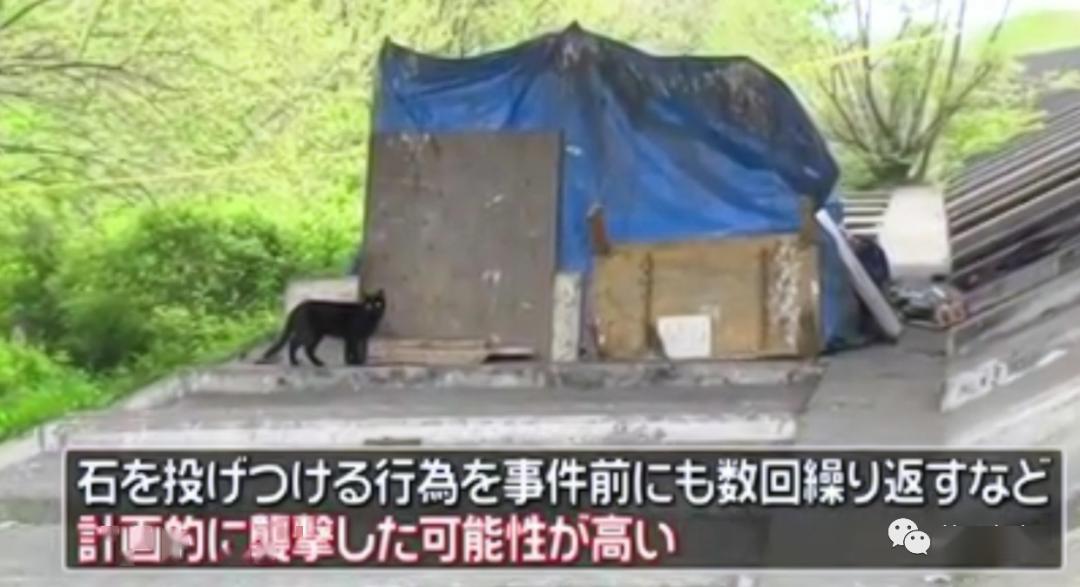先虐猫再杀人，5名未成年将81岁老人活活打死…日本全国震怒
