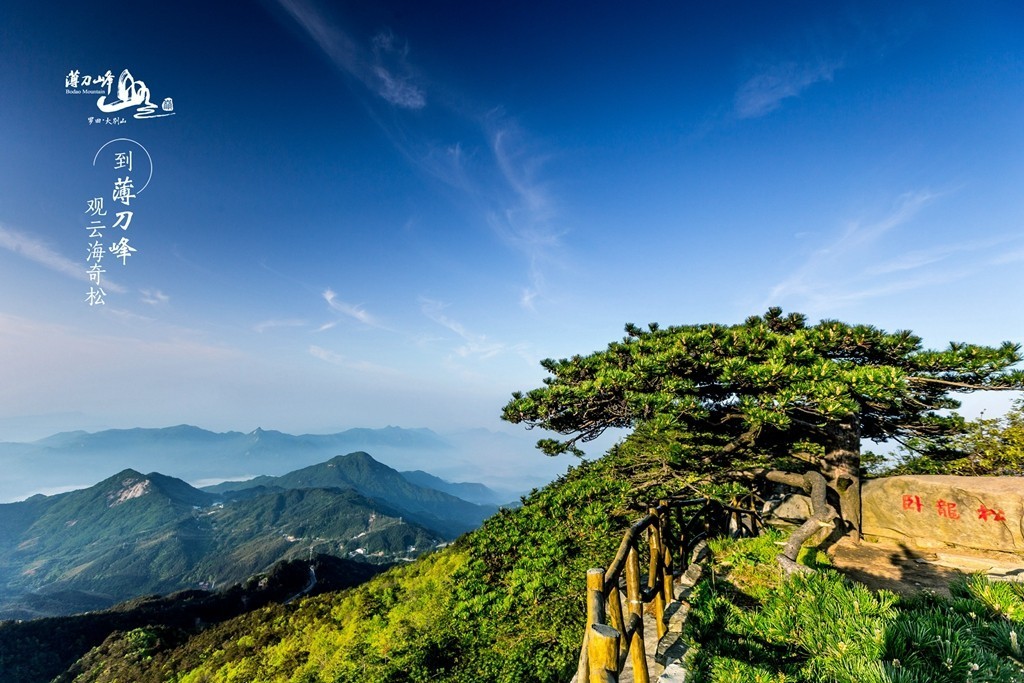 天然森林氧吧薄刀峰白天森呼吸晚上看繁星五一开启洗肺之旅