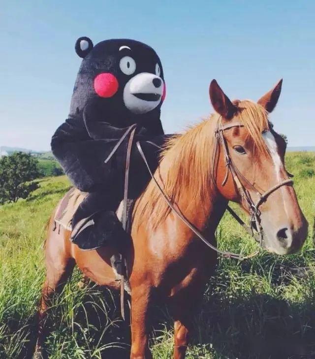 在火遍全球之后,熊本熊居然打算"退隐山林"