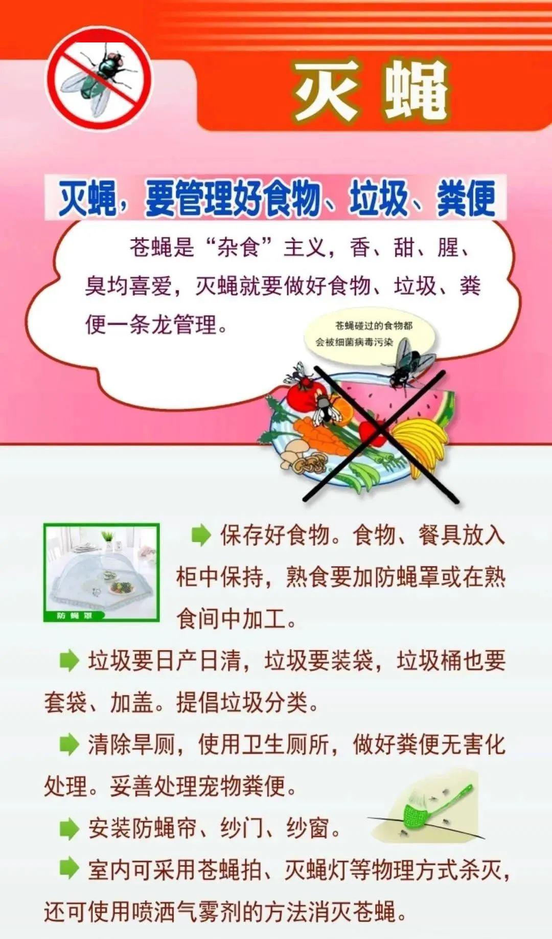 清洁环境 防蚊灭鼠|打赢病媒生物控制战!