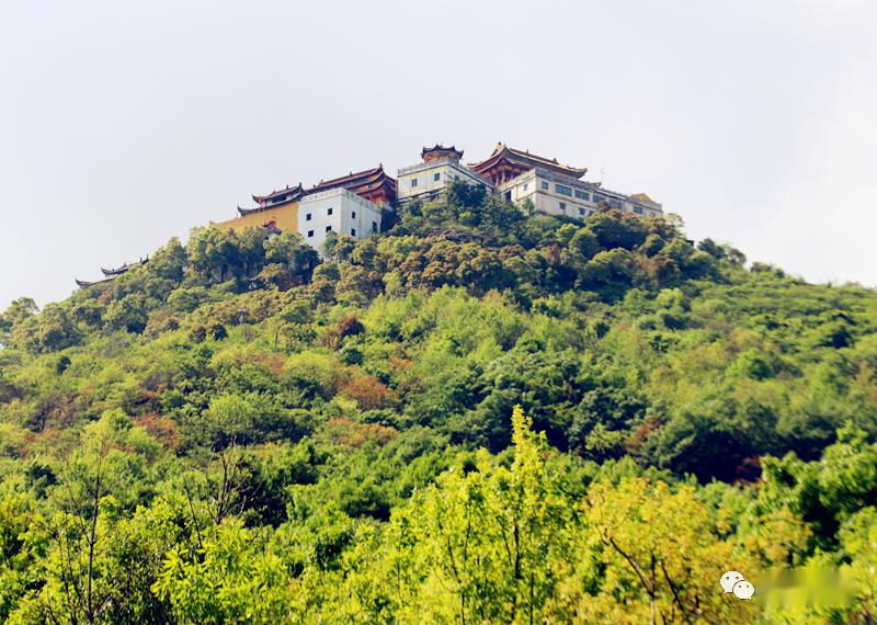 文乡采风图文独占鳌头岱鳌山采风掠影