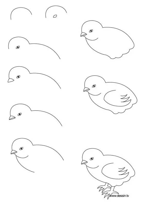 92731ba2e0e94cfe9fa0a0fd88b0b357.jpeg