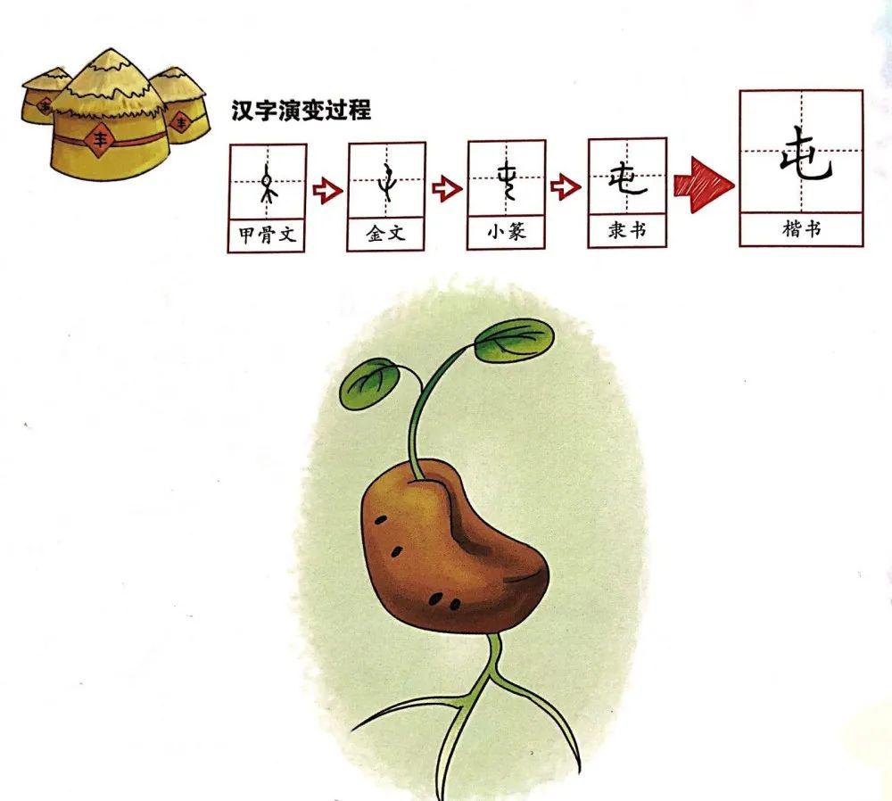 汉字娃娃图图姐姐带你了解汉字那些事儿屯春