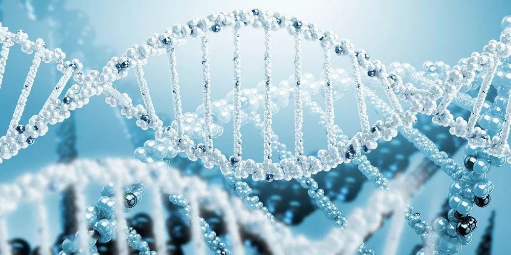 什么叫基因检测 DNA 9b36a27273a84668bfe70f74a4ee6d44.jpeg