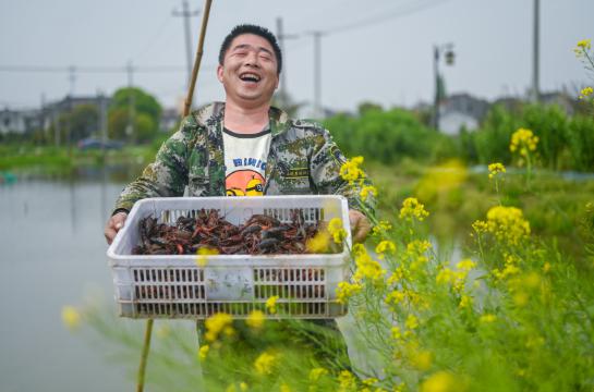 致富经虾_炒虾尾的虾是什么虾_致富虾真的