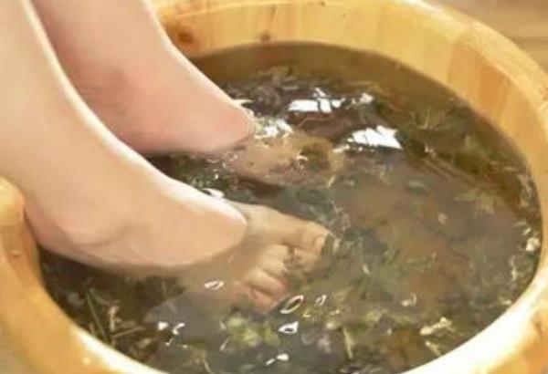 原创若每天晚上坚持用艾叶泡脚,身体会出现哪些变化?
