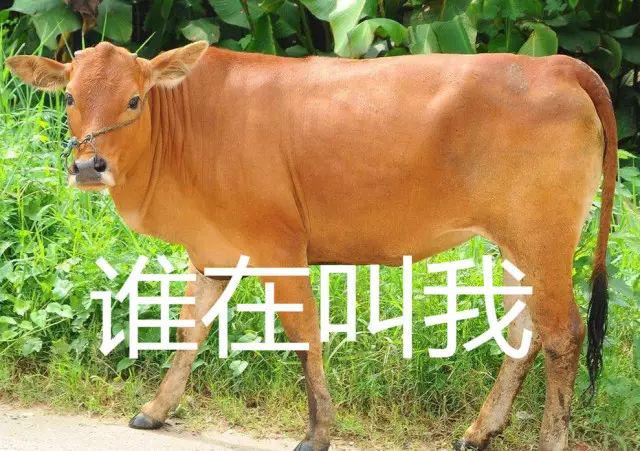 还敢买分卖分?原来后果如此严重