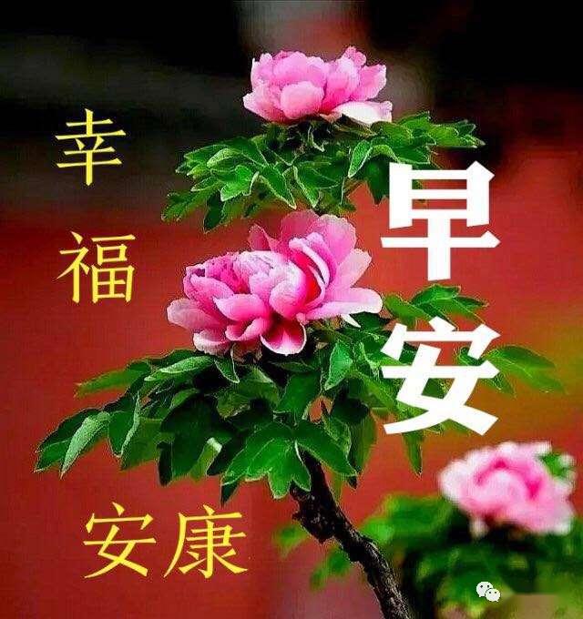 4月25日最漂亮早上好动态表情图片大全,早晨好动图美图大全