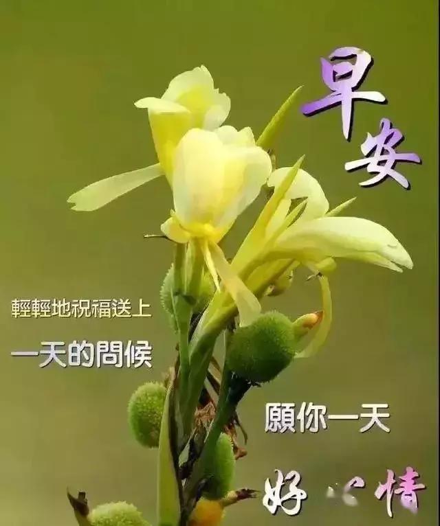 真心地祝愿您,能照顾好自己,一切平安顺利,早安!_祝福