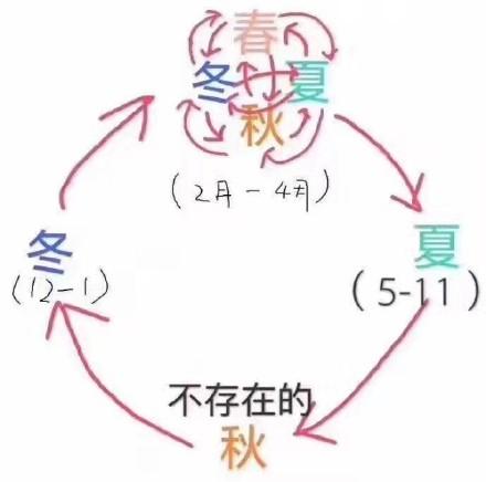 『康萃乐』限时5折！快抢！深圳宝妈福利来了！美国原装进口Culturelle益生菌