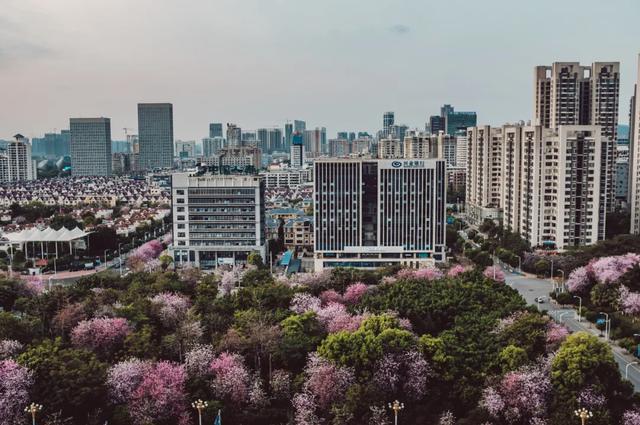 广西人个个都是人才，说话又好听，真的！