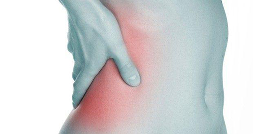 肾是先天之本可以调理吗 cbf33729938a409eaa824394cfc1cf0b.jpeg