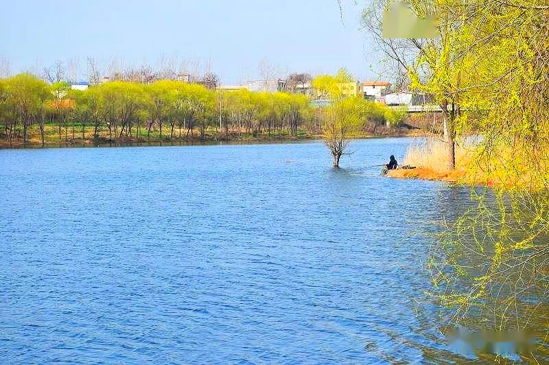襄城县颍河沿岸要建大型湿地了!
