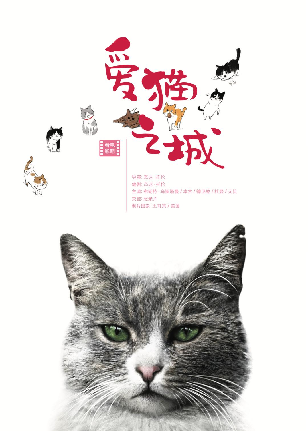 【5期电影:爱猫之城】 导演: 杰达·托伦 编剧: 杰达·托伦 主演