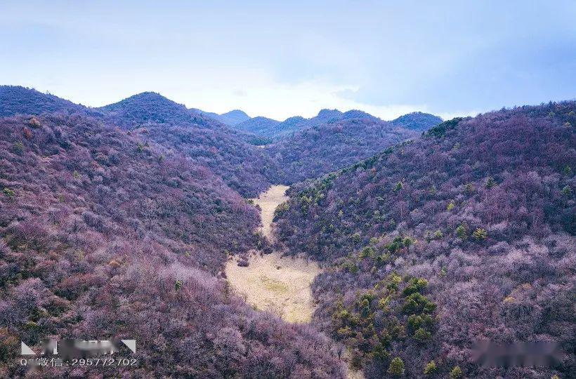 ◣九岳视界◥初识南羊山