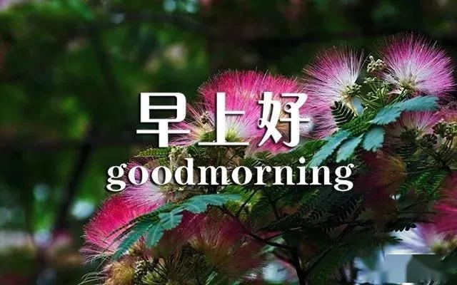 d75a31ec51d54eb88c61105ba359f564.jpeg