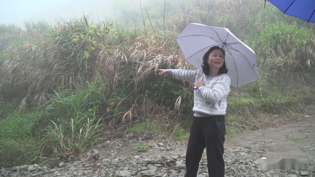 林丽珍 来自搜狐网