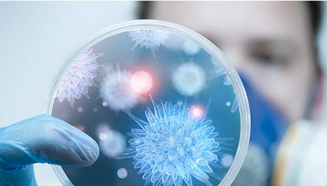 美国最近发生的病毒叫什么 db5d735d503e4a2083447c9d53a531cd.jpeg