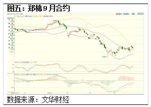 棉花gdp(2)