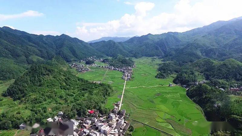 【访问春天 蓄势邵阳(二)】河伯乡:岭上开遍映山红 最美人间四月天