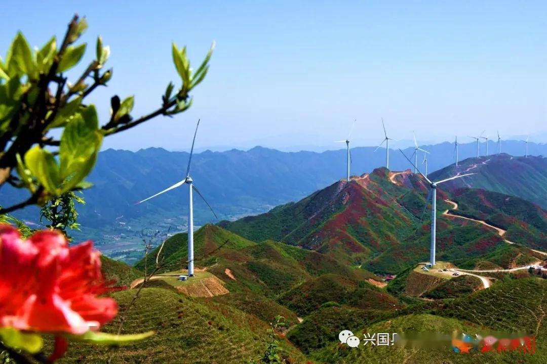 4月27日,兴国县茶园乡十八排风电场风力发电机矗立在群山之中,与成片