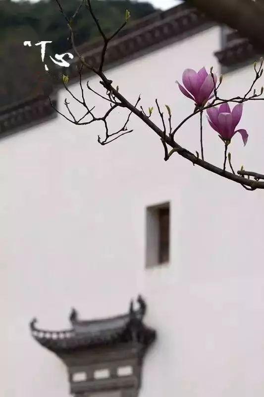 12f162546f214148a5de316ec02daff6.jpeg