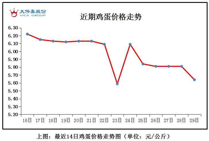 今日全国蛋下跌预计短期内鸡蛋价格或震荡调整金鸡日报